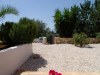 MIA8782-copy