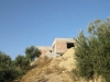 platanias13